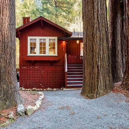 Redwood Retreat! Redwoods! Walk To River!! Hot Tub!! Bbq! Central Air!! Villa Guerneville Exterior photo